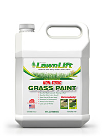 32 ounce covers up to 75 sq feet Ready to use Lawnlift Grass Paint No Mixing 